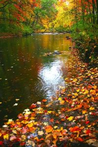 Autumn in Ligonier